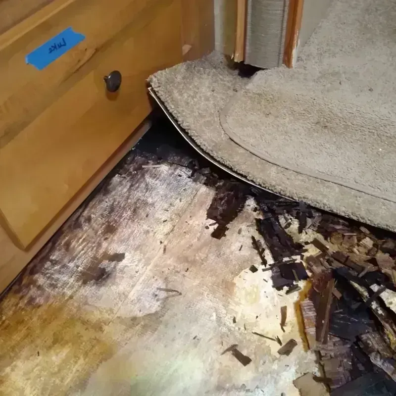 Wood Floor Water Damage in Kiowa, CO